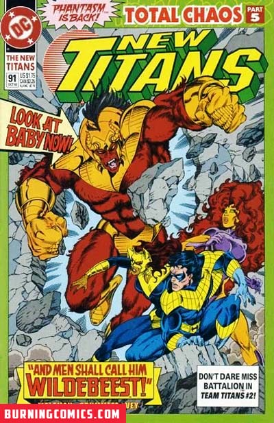 New Teen Titans (1984) #91