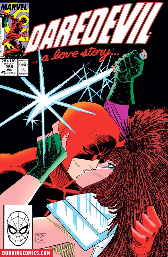 Daredevil (1964) #255