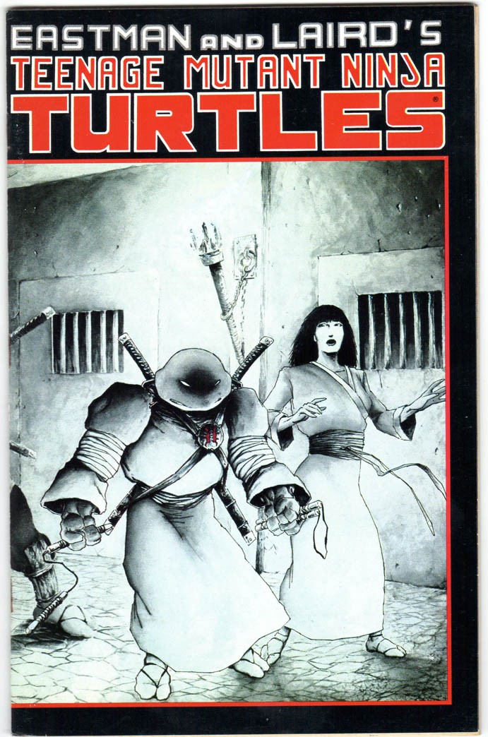 Teenage Mutant Ninja Turtles (1984) #17